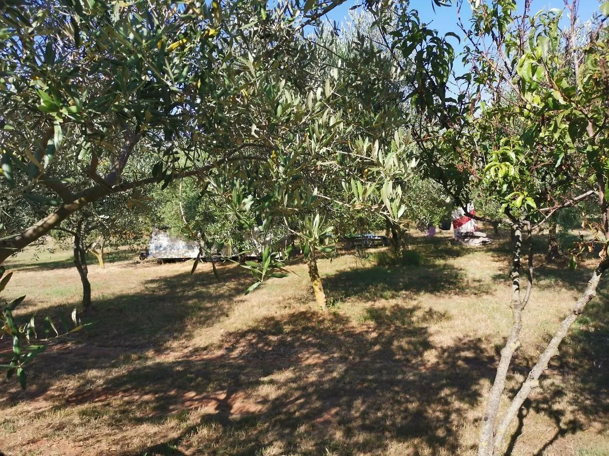 Jacuzi Cottage In The Olive Grove Pula Croatia