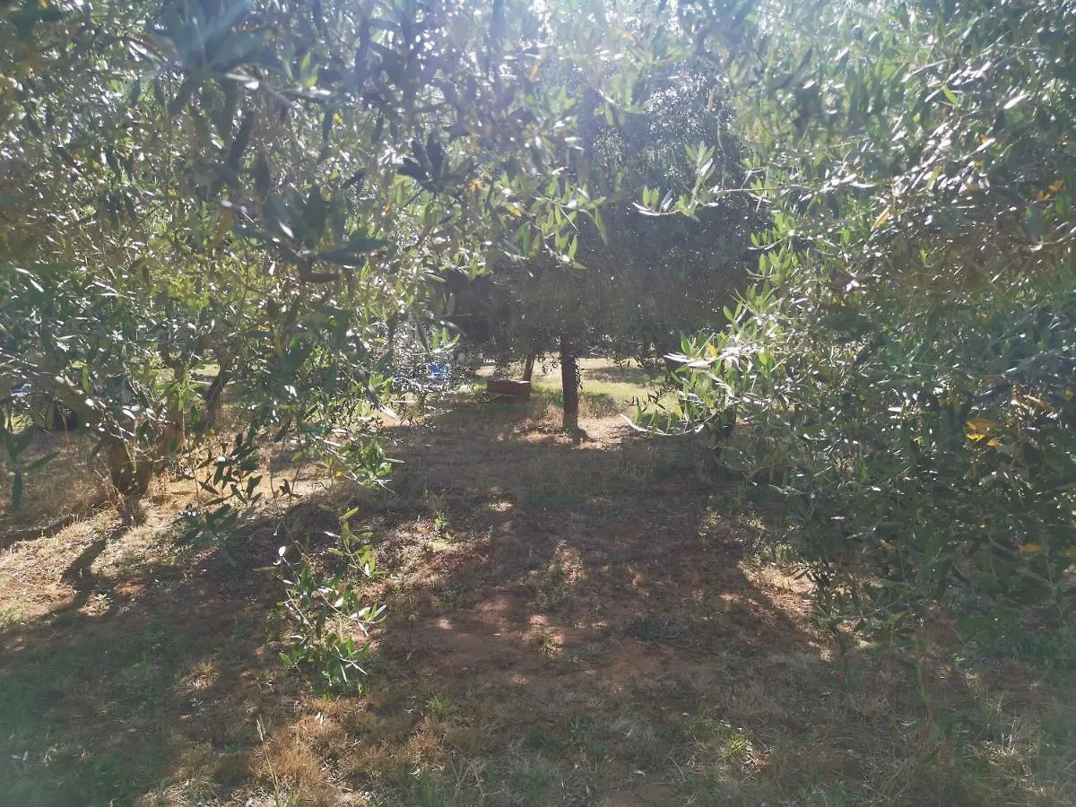 Jacuzi Cottage In The Olive Grove 0*, Pula Croatia