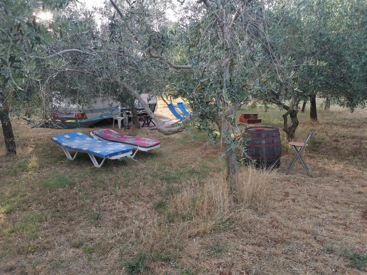 Campeggio Jacuzi Cottage In The Olive Grove Pola
