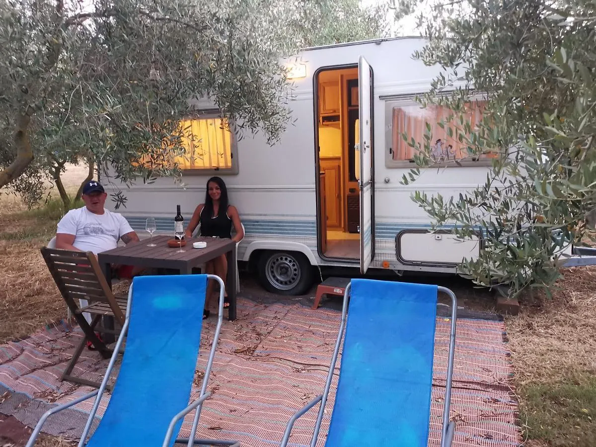 Jacuzi Cottage In The Olive Grove Pula