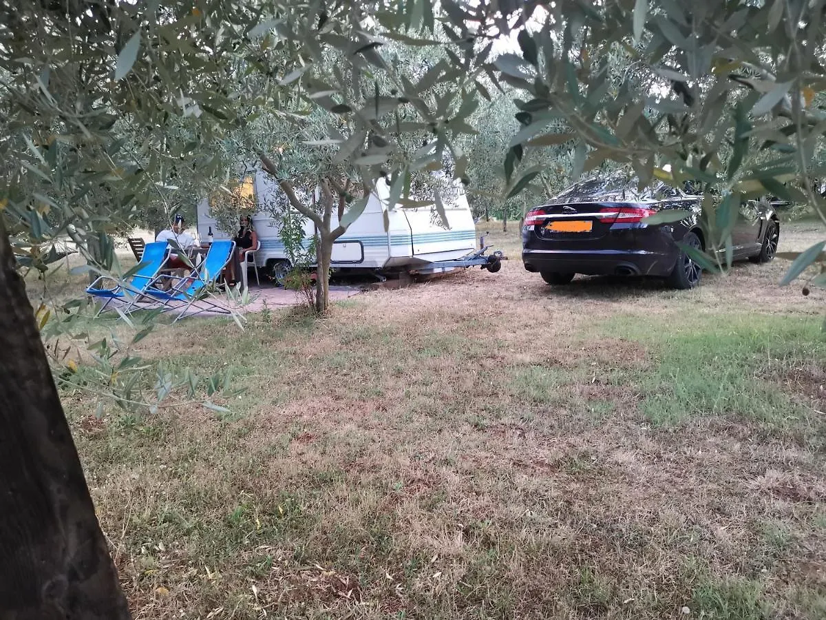 Jacuzi Cottage In The Olive Grove Pola
