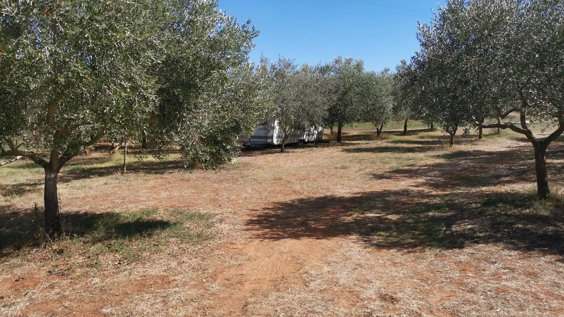 Jacuzi Cottage In The Olive Grove