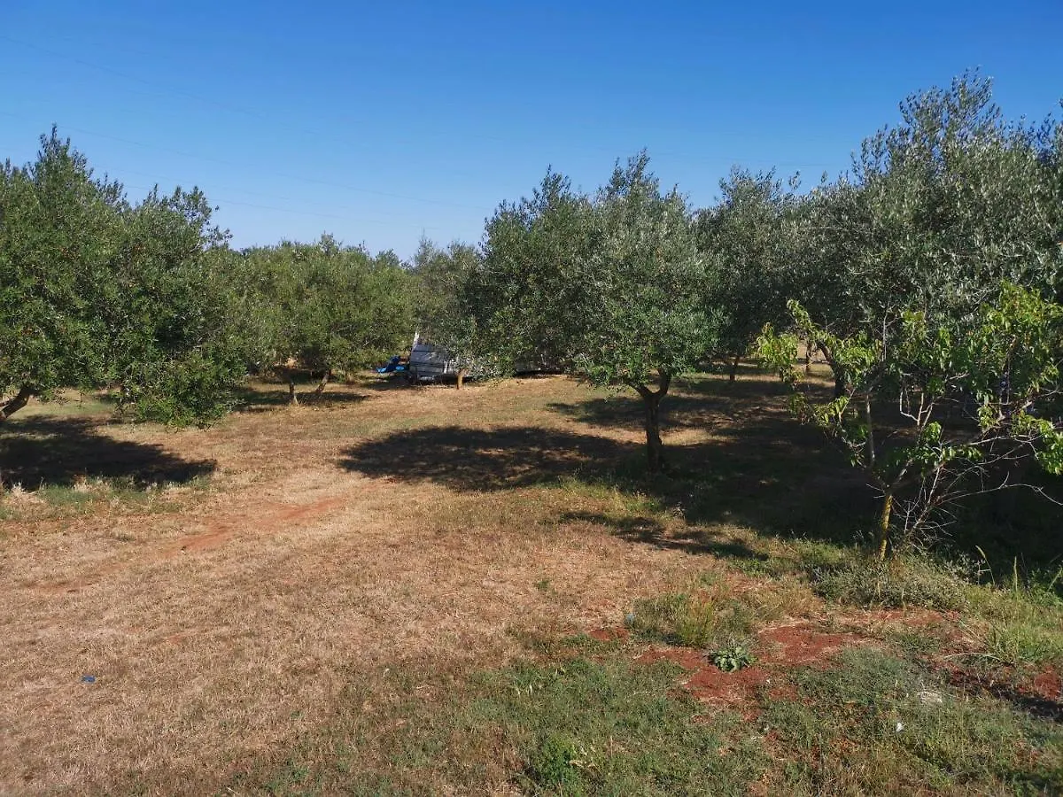 Jacuzi Cottage In The Olive Grove Pula 0*,