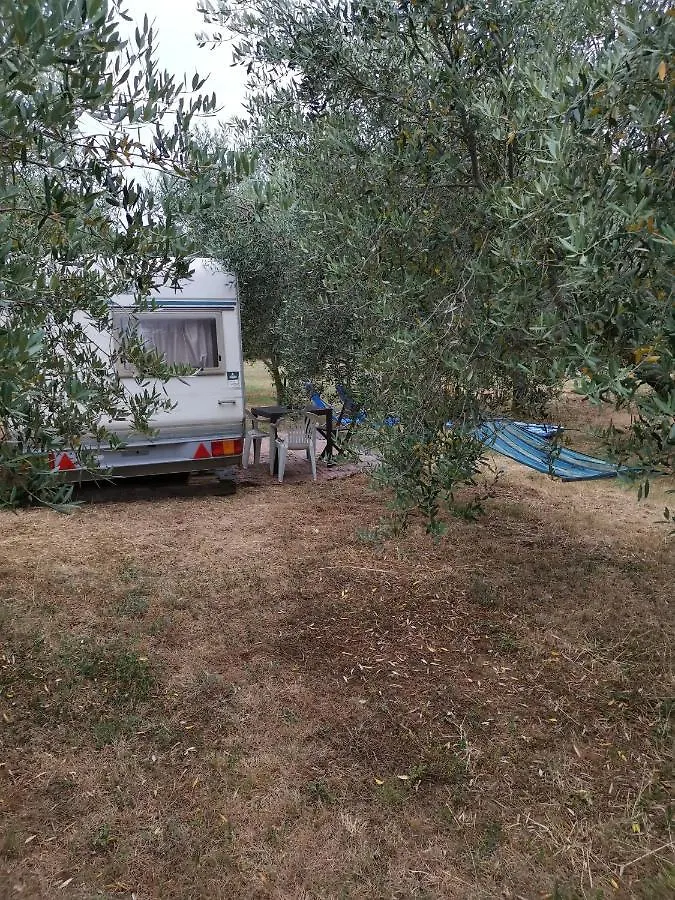 Jacuzi Cottage In The Olive Grove Pula Camping