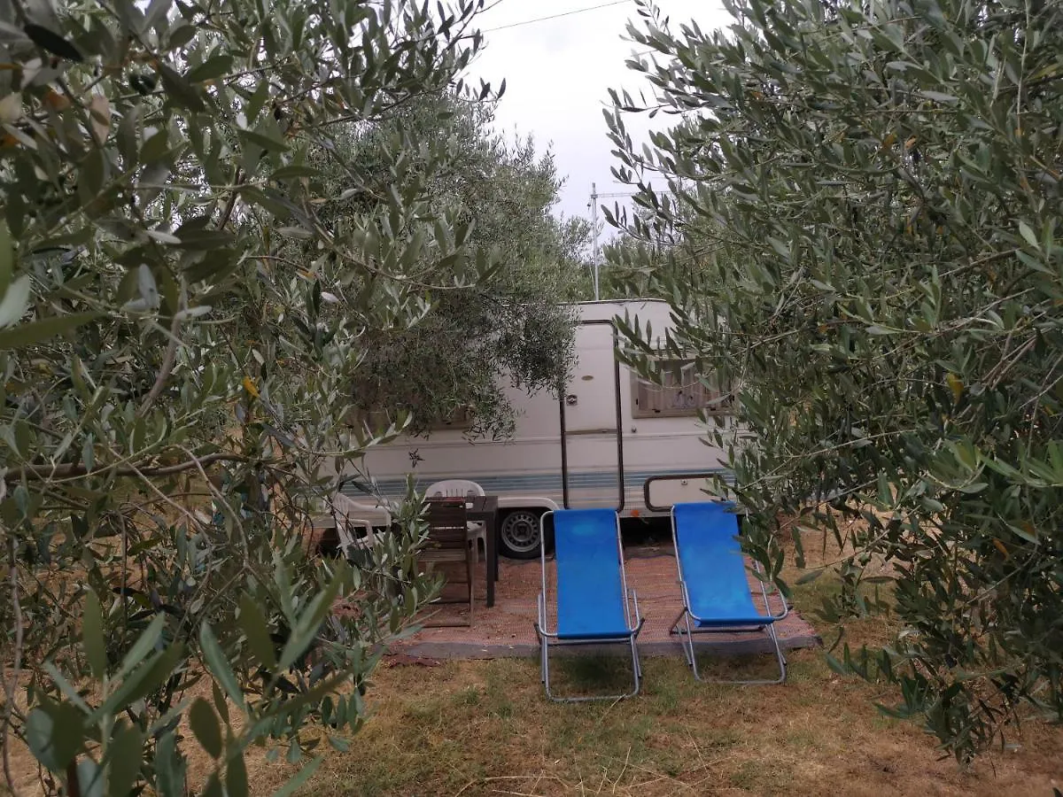 Jacuzi Cottage In The Olive Grove Pula Croatie
