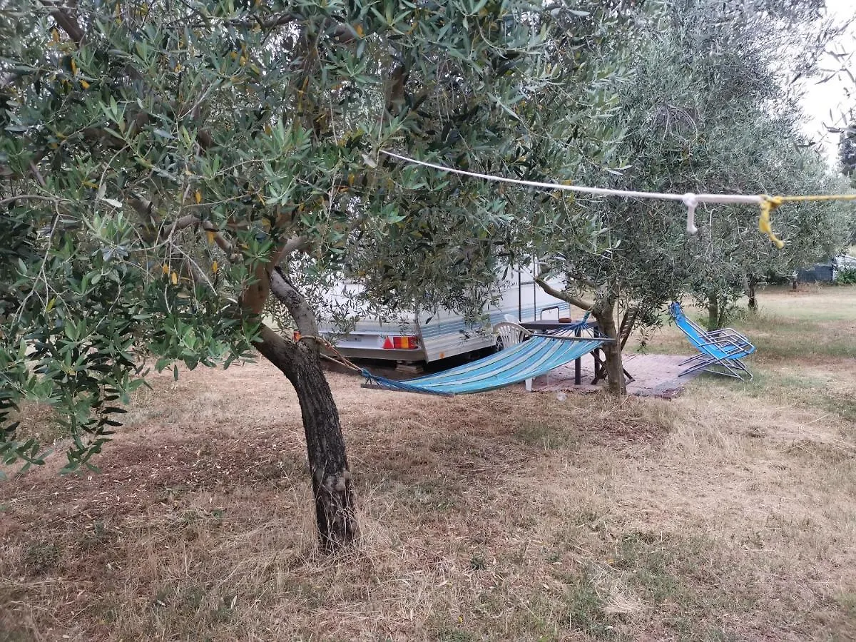Jacuzi Cottage In The Olive Grove Pula 0*,