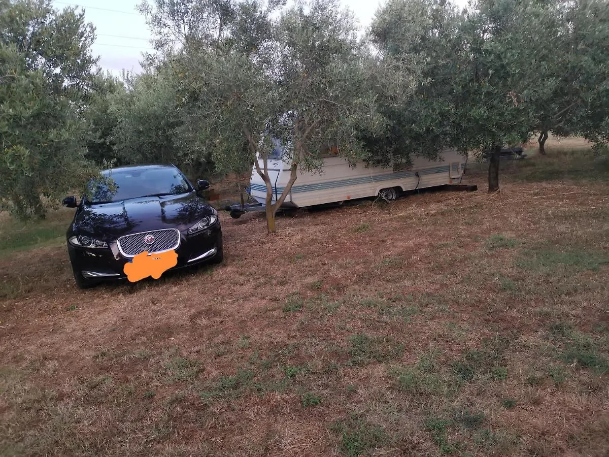 Jacuzi Cottage In The Olive Grove Pula Camping