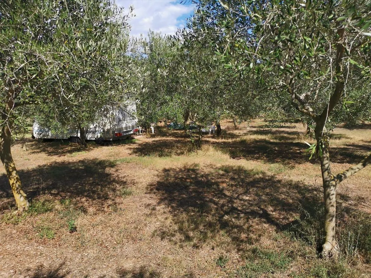Jacuzi Cottage In The Olive Grove Pula Croatie