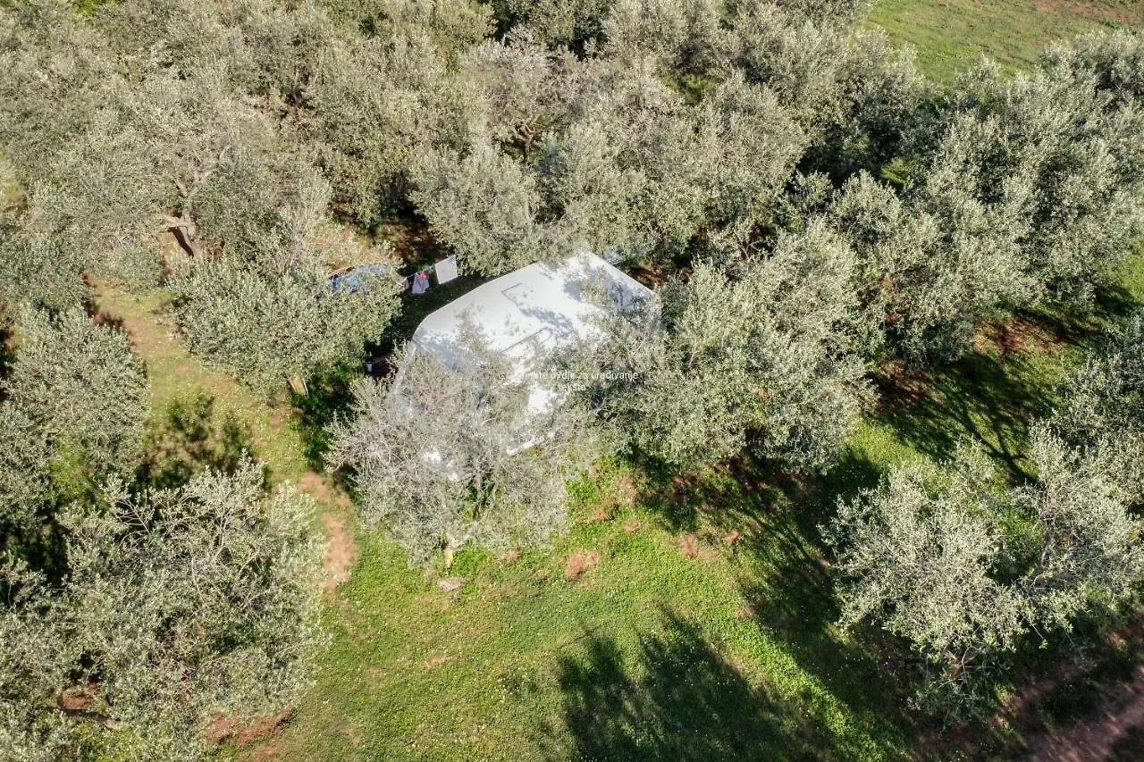 Jacuzi Cottage In The Olive Grove Pula