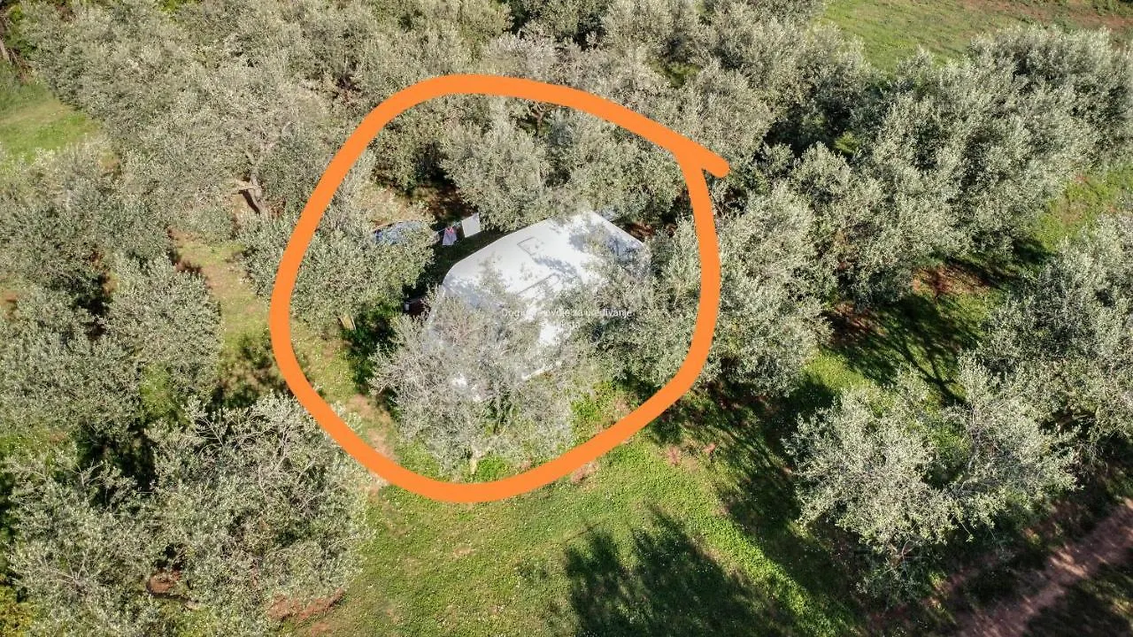 Jacuzi Cottage In The Olive Grove Pula Camping